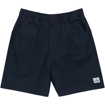 textil Hombre Shorts / Bermudas Element Howland Venture Azul