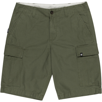 textil Hombre Shorts / Bermudas Element ELYWS00103 GQM0 Verde