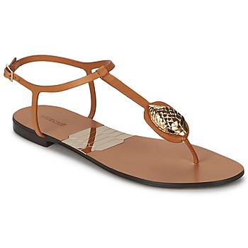 Zapatos Mujer Chanclas Roberto Cavalli XPX243-PZ220 Marrón