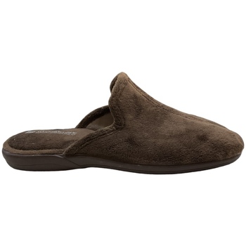 Zapatos Hombre Pantuflas Vulca-bicha 645 Marrón