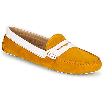 Shoes Women Loafers JB Martin TABATA Sun