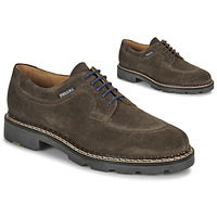 Shoes Men Derby shoes Pellet Montario Velvet / Cypres