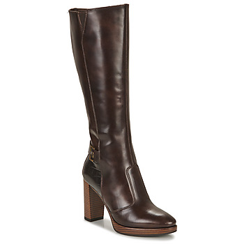 Shoes Women Boots NeroGiardini ZEUS Brown