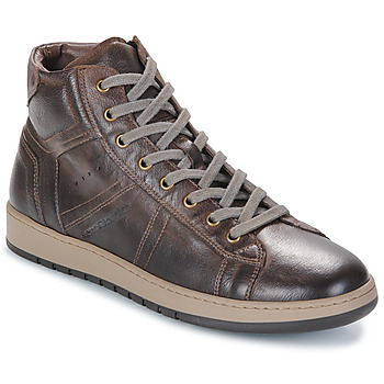 Shoes Men High top trainers NeroGiardini  Brown