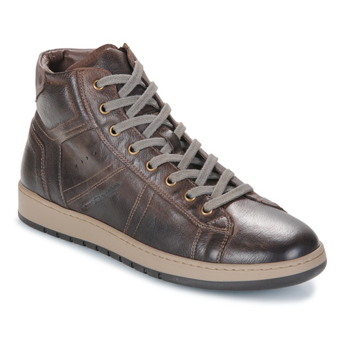 Shoes Men High top trainers NeroGiardini  Brown