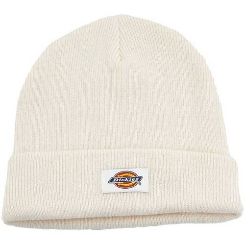 Asusteet / tarvikkeet Naiset Lippalakit Dickies GIBSLAND BEANIE Beige