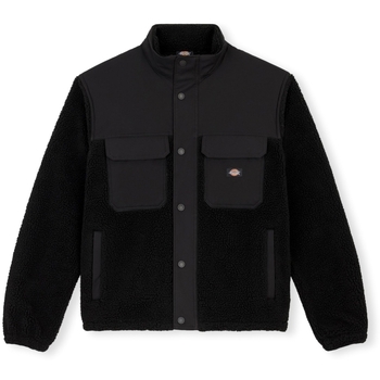 vaatteet Miehet Paksu takki Dickies Pinesdale Jacket - Black Musta