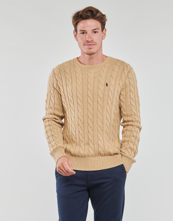 Υφασμάτινα Άνδρας Πουλόβερ Polo Ralph Lauren SC23-LS DRIVER CN-LONG SLEEVE-SWEATER Beige / Beige / Melange