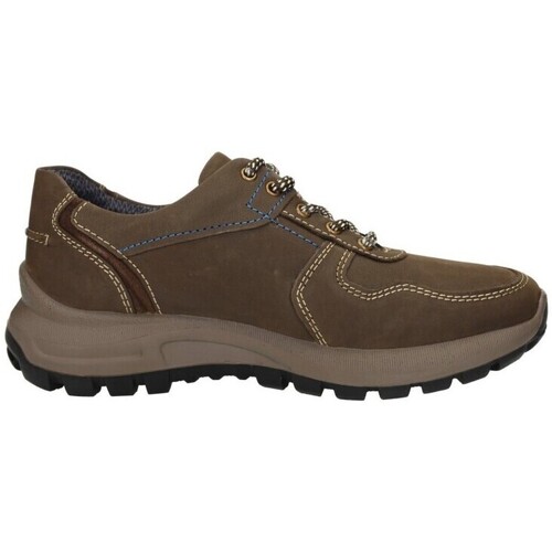 Παπούτσια Άνδρας Χαμηλά Sneakers St. Gallen  Brown