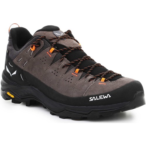 Cipők Férfi Túracipők Salewa Alp Trainer 2 Gore-Tex® Men's Shoe 61400-7953 Sokszínű