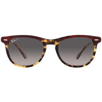 Órák & Ékszerek Napszemüvegek Ray-ban Occhiali da Sole  Eagleeye RB2398 1377M3 Polarizzati Barna