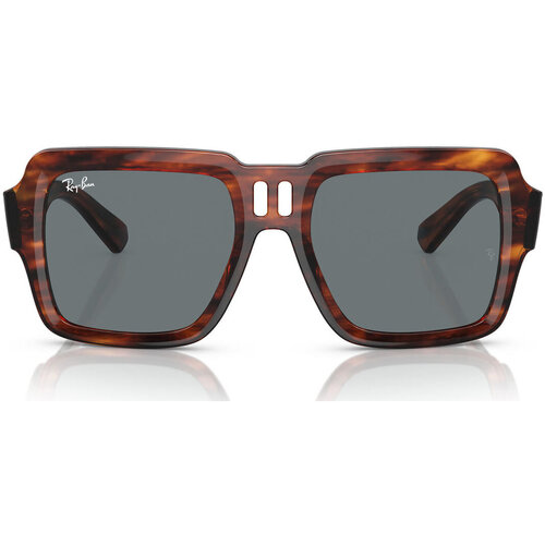 Órák & Ékszerek Napszemüvegek Ray-ban Occhiali da Sole  Magellan RB4408 139880 Barna