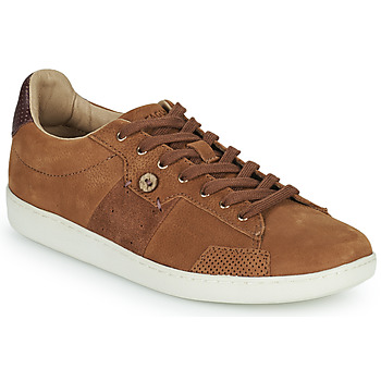 Scarpe Uomo Sneakers basse Faguo HOSTA Marrone