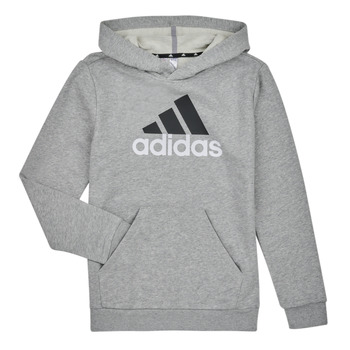 Abbigliamento Bambino Felpe Adidas Sportswear BL 2 HOODIE Grigio / Moyen