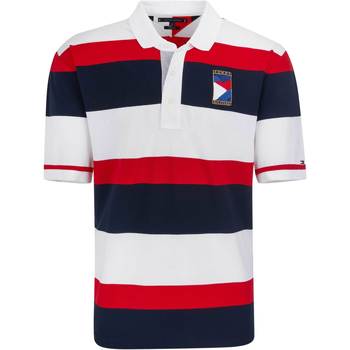 Abbigliamento Uomo Polo maniche corte Tommy Hilfiger  Bianco