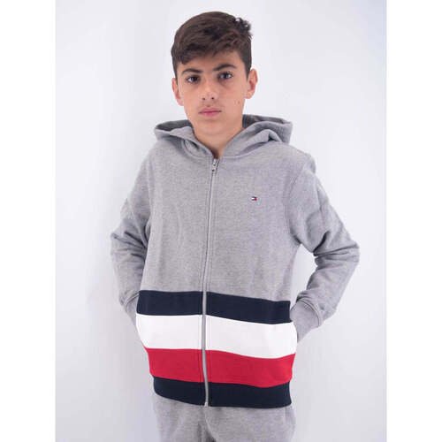 Abbigliamento Bambino Felpe Tommy Hilfiger  Grigio