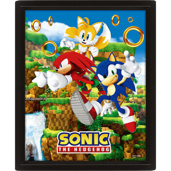 Casa cornici foto Sonic The Hedgehog TA10695 Multicolore