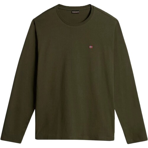 Abbigliamento Uomo T-shirts a maniche lunghe Napapijri 222995 Verde