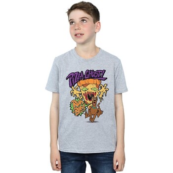 Abbigliamento Bambino T-shirt & Polo Scooby Doo Pizza Ghost Grigio