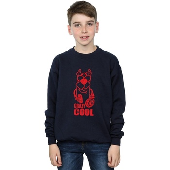 Abbigliamento Bambino Felpe Scooby Doo Crazy Cool Blu