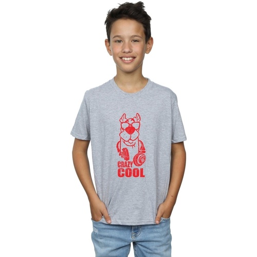 Abbigliamento Bambino T-shirt & Polo Scooby Doo Crazy Cool Grigio