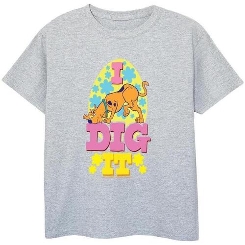 Abbigliamento Bambino T-shirt & Polo Scooby Doo Easter Grigio