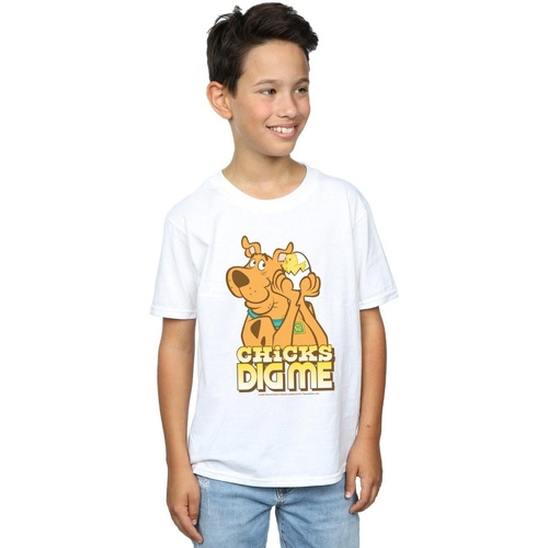 Abbigliamento Bambino T-shirt & Polo Scooby Doo BI33375 Bianco