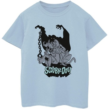 Abbigliamento Bambino T-shirt & Polo Scooby Doo Scared Jump Blu