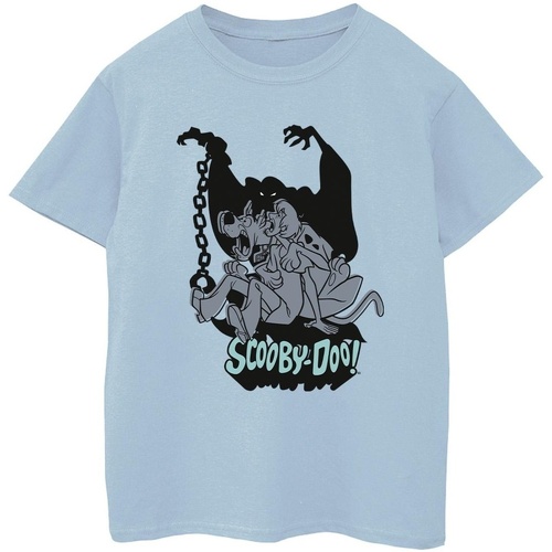 Abbigliamento Bambino T-shirt & Polo Scooby Doo Scared Jump Blu