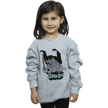 Abbigliamento Bambina Felpe Scooby Doo Scared Jump Grigio