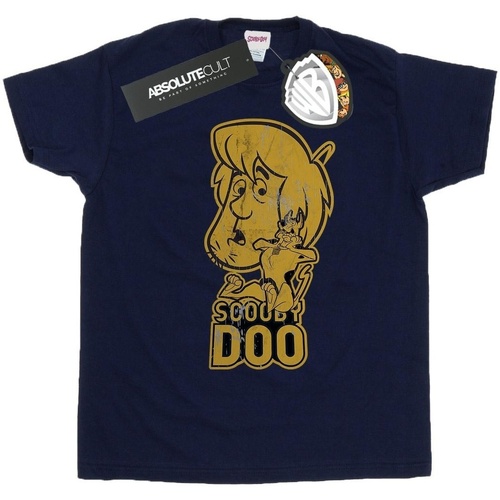 Abbigliamento Bambina T-shirts a maniche lunghe Scooby Doo BI34713 Blu