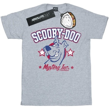 Abbigliamento Bambina T-shirts a maniche lunghe Scooby Doo Collegiate Grigio