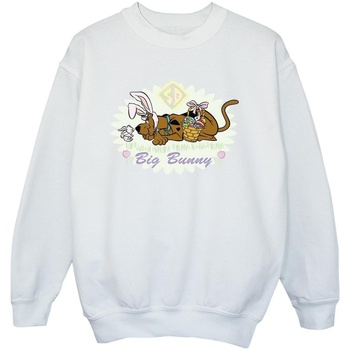 Abbigliamento Bambino Felpe Scooby Doo BI50250 Bianco