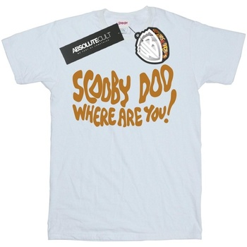 Abbigliamento Bambino T-shirt & Polo Scooby Doo Where Are You Bianco