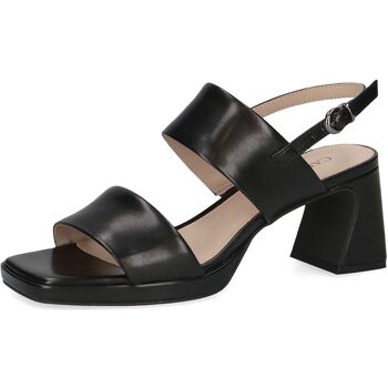 Scarpe Donna Sandali Caprice Sandali Nero