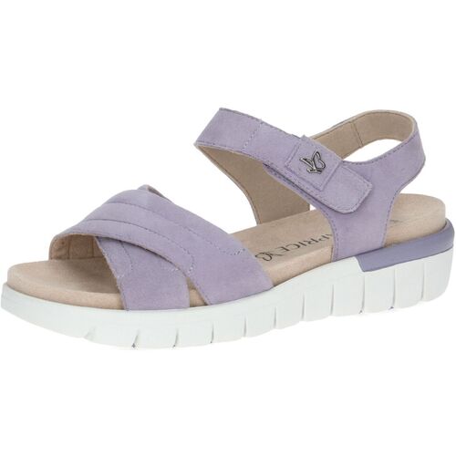 Scarpe Donna Sandali Caprice Sandali Viola