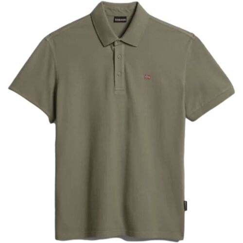 Abbigliamento Uomo T-shirt & Polo Napapijri EOLANOS 3 Verde