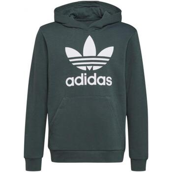 Abbigliamento Unisex bambino Felpe adidas Originals h0270_trafoil_hoodie_verde Verde