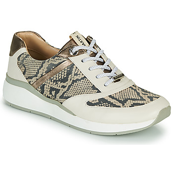 Shoes Women Low top trainers JB Martin 1KALIO Beige