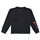 Clothing Girl sweaters Desigual ALICIA Black