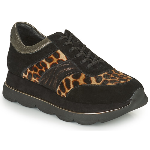 Shoes Women Low top trainers Café Noir BORDA Black / Leo