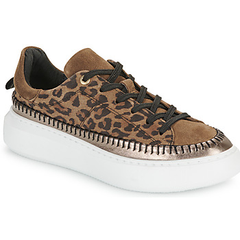 Shoes Women Low top trainers JB Martin FLEUR Crust / Velvet / Leopard / Bronze