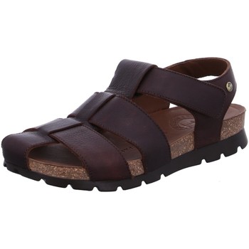 Schoenen Heren Sandalen / Open schoenen Panama Jack  Bruin