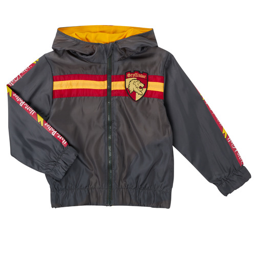 Textiel Jongens Wind jackets TEAM HEROES  BLOUSON HARRY POTTER Grijs