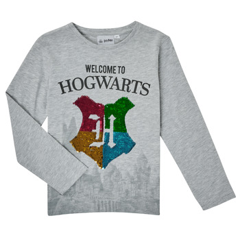 Textiel Jongens T-shirts met lange mouwen TEAM HEROES  T-SHIRT HARRY POTTER Grijs