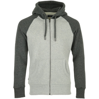 Textiel Heren Sweaters / Sweatshirts Superdry OL Classic Raglan Ziphood Grijs