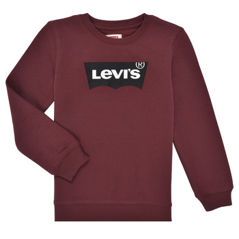 Textiel Jongens Sweaters / Sweatshirts Levi's LVB BATWING CREWNECK Bruin