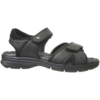 Schoenen Heren Sandalen / Open schoenen Panama Jack Sanders Zwart