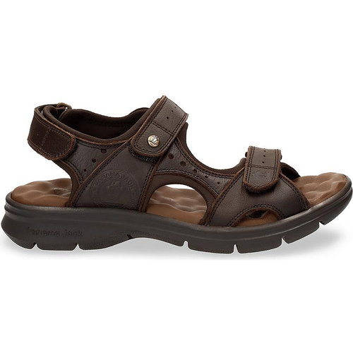 Schoenen Heren Sandalen / Open schoenen Panama Jack SALTON SANDALEN BRUIN_C35