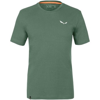 tekstylia Męskie T-shirty i Koszulki polo Salewa Pure Dolomites Hemp Men's T-Shirt 28329-5320 Zielony